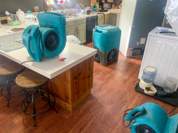 Best Basement water damage restoration  in Cross Roads, TX