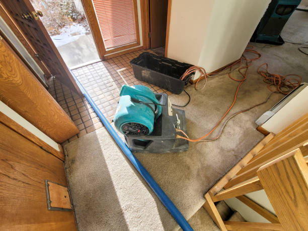 Best Water damage restoration specialists  in Cross Roads, TX