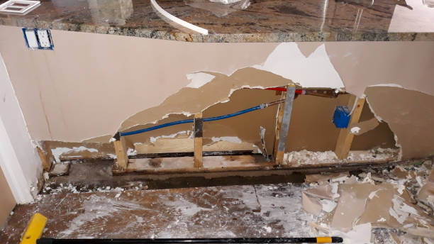  Cross Roads, TX Water damage restoration Pros
