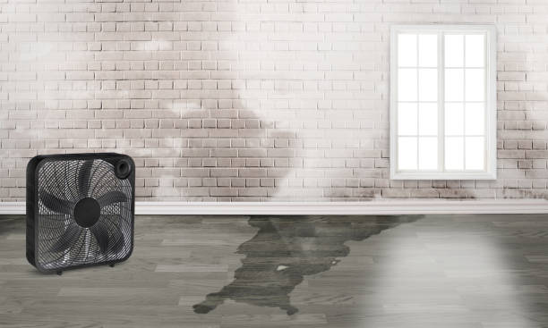Best 24-hour water damage restoration  in Cross Roads, TX