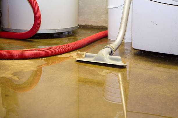 Best Fire Damage Restoration  in Cross Roads, TX