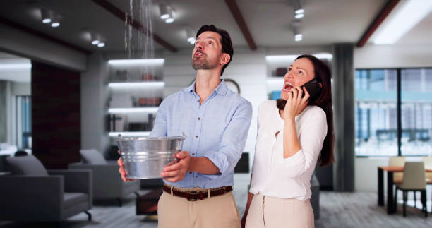 Best Mold removal after water damage  in Cross Roads, TX