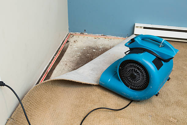 Best Flood damage cleanup  in Cross Roads, TX